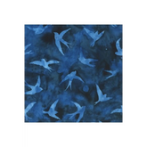 Starry Night: 2000Q-5 Dark Blue